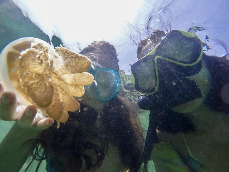 Tales of Indonesia: Tranquil Derawan