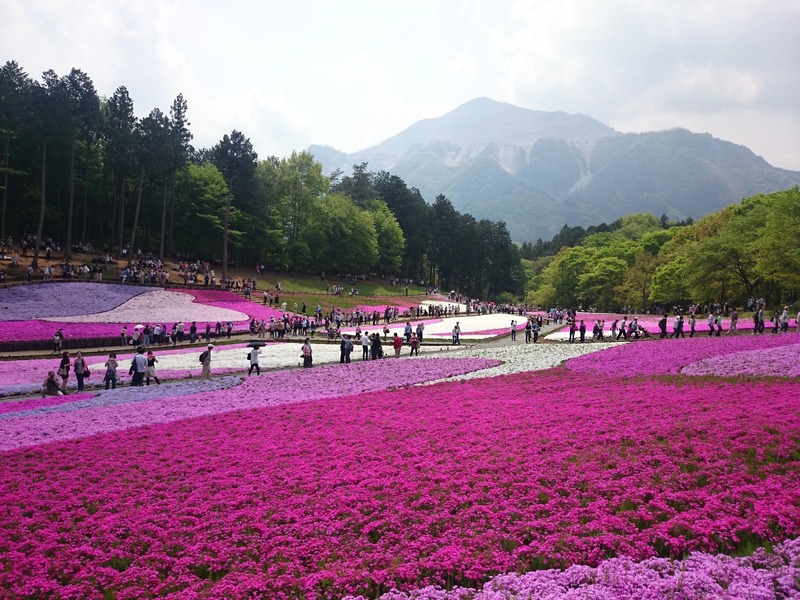 Japan Guide: Secret Travel Spots