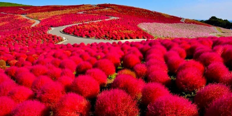 Japan Guide: Secret Travel Spots