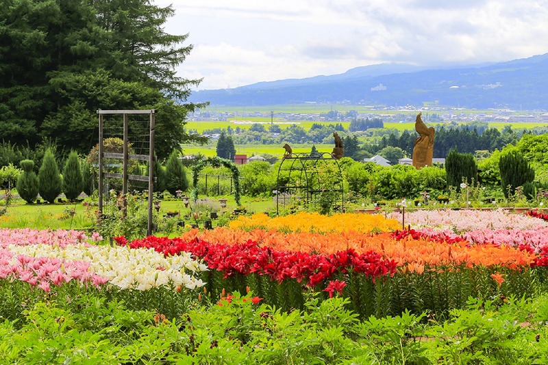Japan Guide: Secret Travel Spots